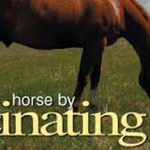 40fd06_2249de5c70f14131a14beed8fa429cf1